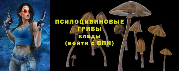 а пвп мука Белокуриха
