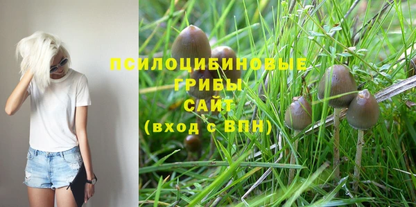 PSILOCYBIN Беломорск
