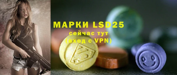 PSILOCYBIN Беломорск