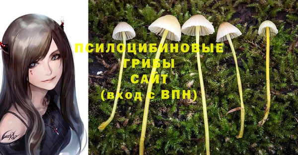 PSILOCYBIN Беломорск