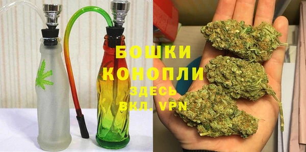 PSILOCYBIN Беломорск